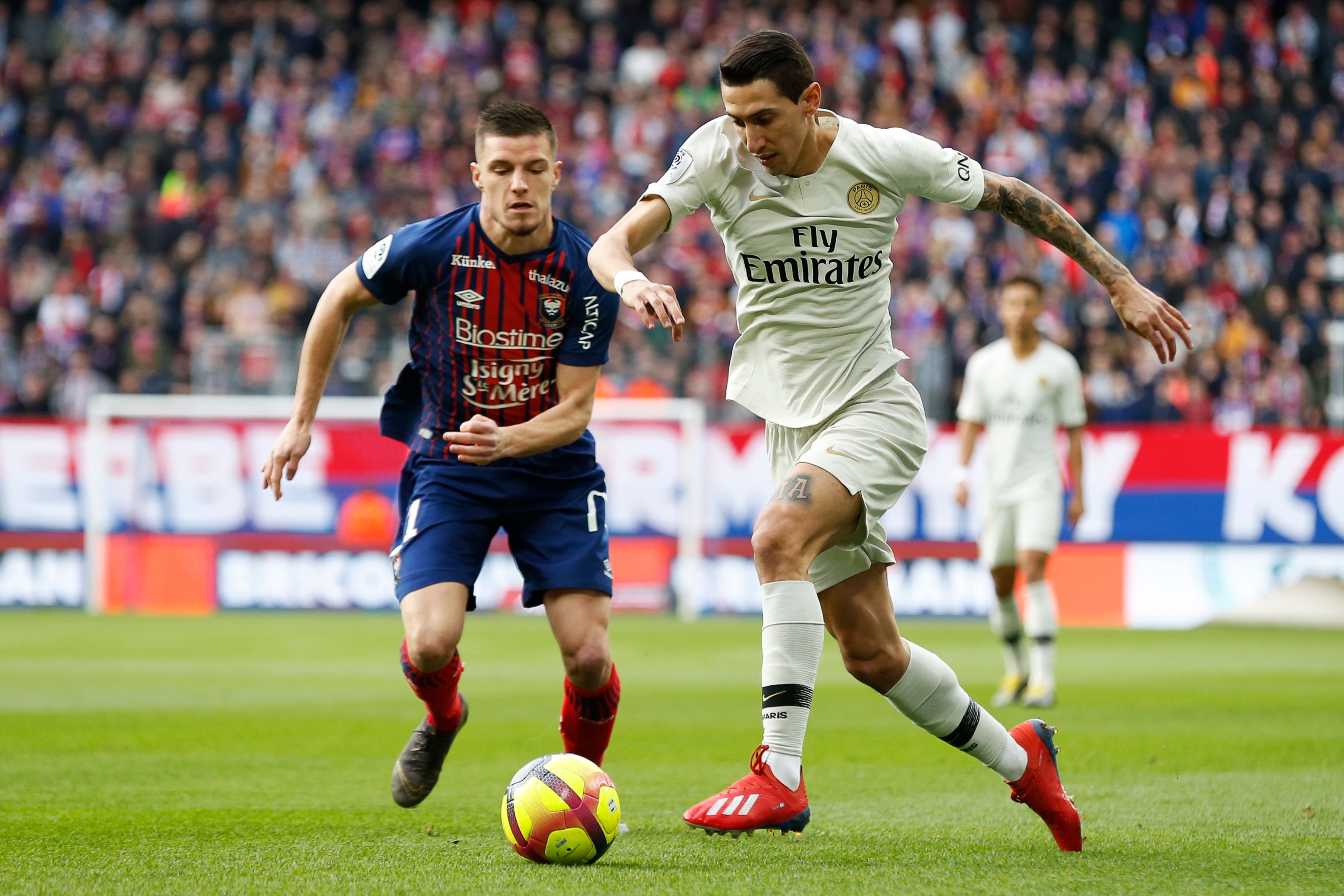 亚精英赛积分榜：蓉城积6分排在倒数第3，海港2分仍居垫底